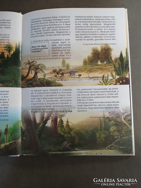 Mi-Micsoda - Dinoszauruszok 29. - 1995