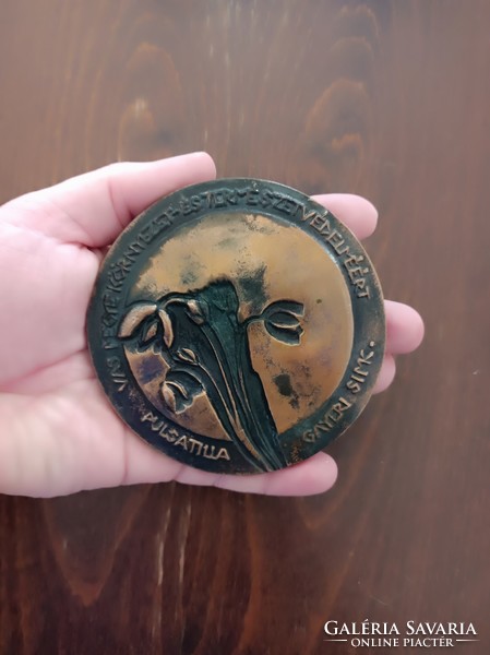 Gayer Gyula bronz plakett   Méret: 10 cm.