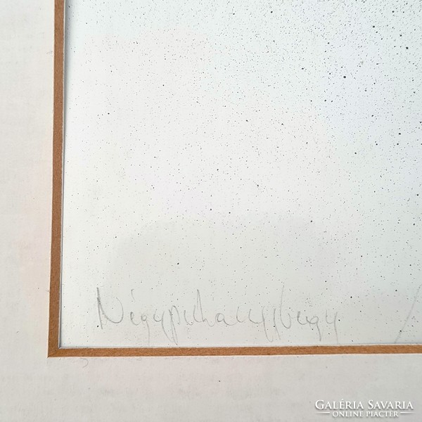 Kopasz Tamás -"Négypuhaújbegy-