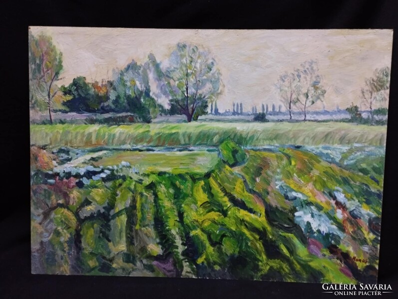 Monos József - Tavaszi kertek olaj, farost festmény 50x70 cm