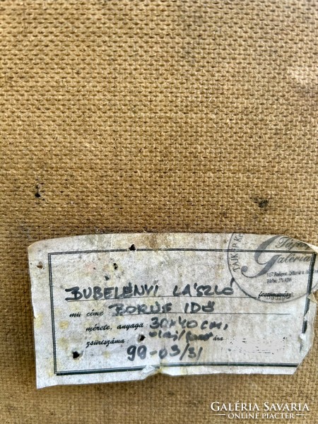 Bubelényi László: Borús idő