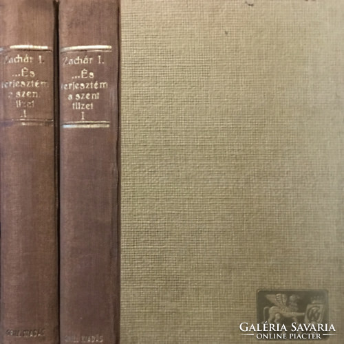 ... És terjesztém a Szent Tüzet (Kazinczy Ferenc élete) I-II. - S. Zachár Ilona