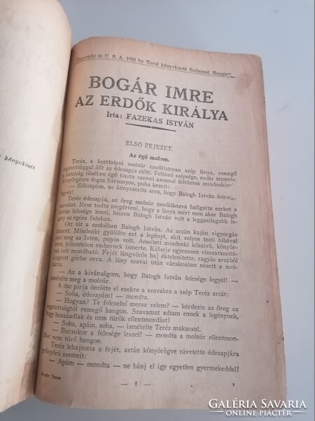 Fazekas István: Bogár Imre az erdők királya 1928