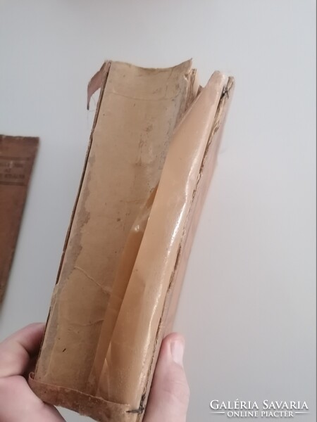 Fazekas István: Bogár Imre az erdők királya 1928