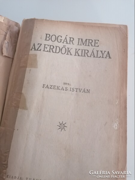 Fazekas István: Bogár Imre az erdők királya 1928