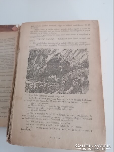 Fazekas István: Bogár Imre az erdők királya 1928
