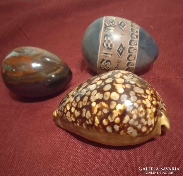 Eggs and Shell collectable from South Africa