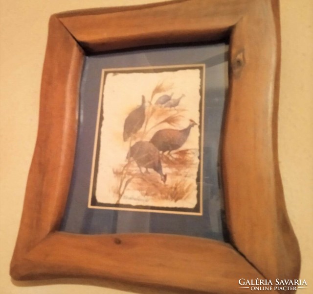 Birds in a Wooden frame from South Africa