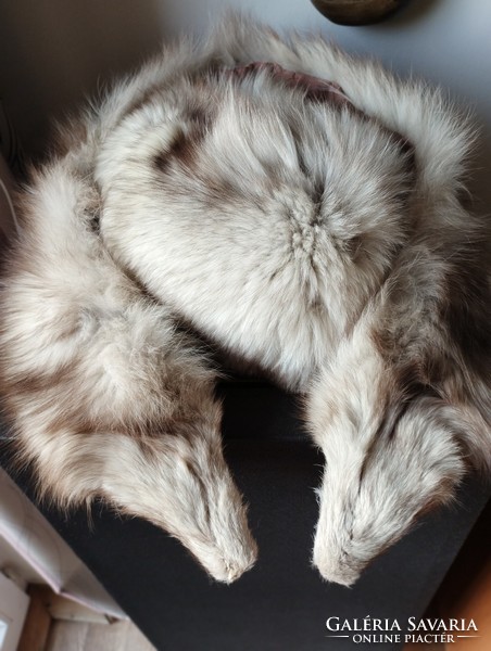 Ezüstróka sapka-gallér szett