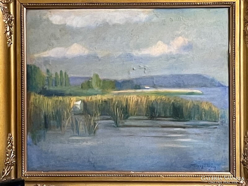 Tunyogi Szűcs Sándor - Balaton..