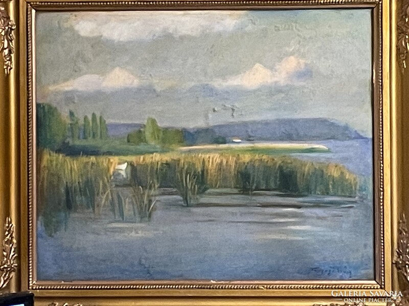 Tunyogi Szűcs Sándor - Balaton..
