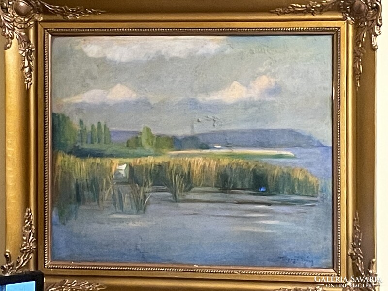 Tunyogi Szűcs Sándor - Balaton..