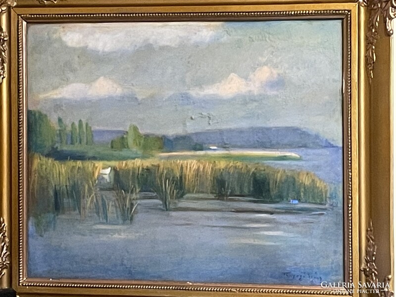 Tunyogi Szűcs Sándor - Balaton..