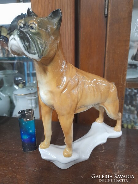 Német,Germany Volkstedt Karl ENS Nagy Méretű Boxer Kutya Porcelán Figura.21.5 cm