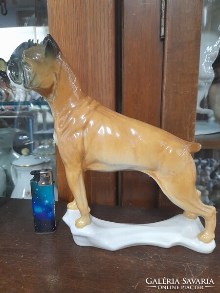 Német,Germany Volkstedt Karl ENS Nagy Méretű Boxer Kutya Porcelán Figura.21.5 cm