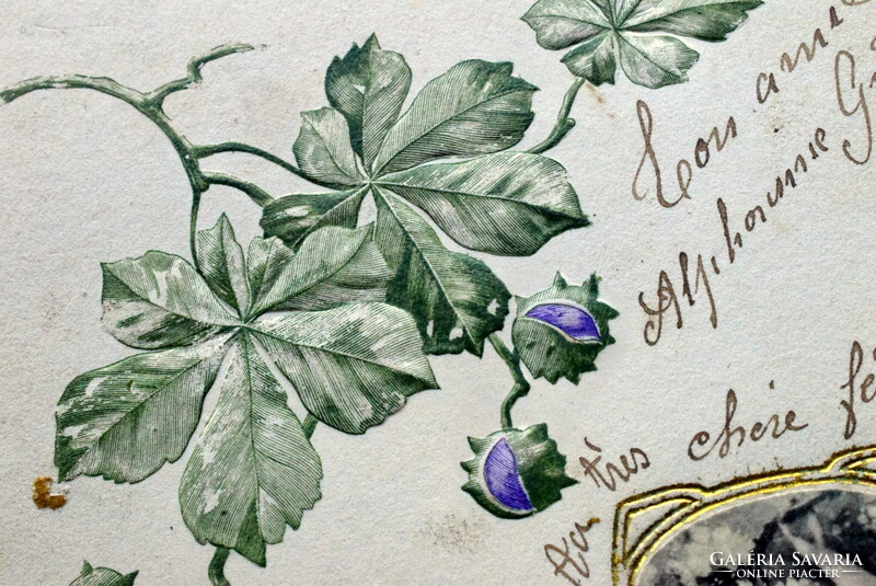 Antik szecessziós dombornyomott képeslap  - vadgesztenye