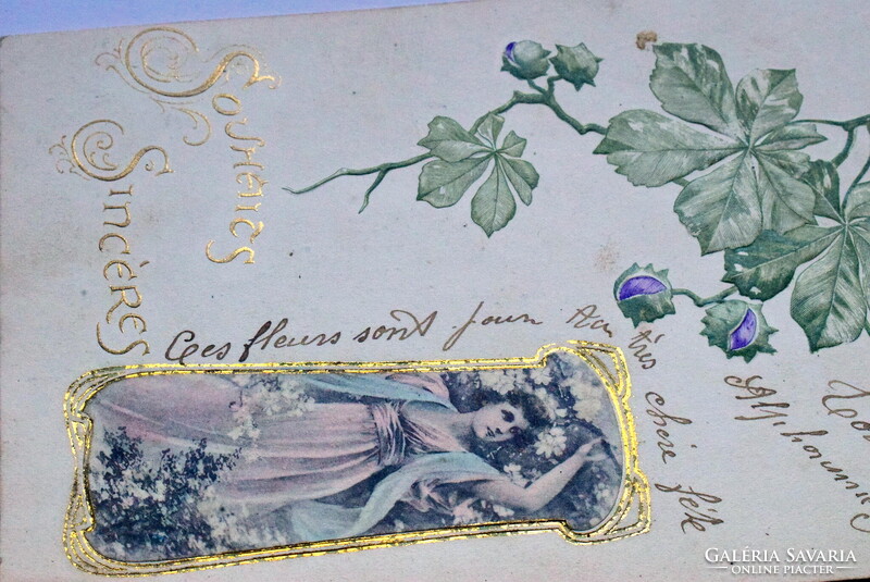 Antik szecessziós dombornyomott képeslap  - vadgesztenye