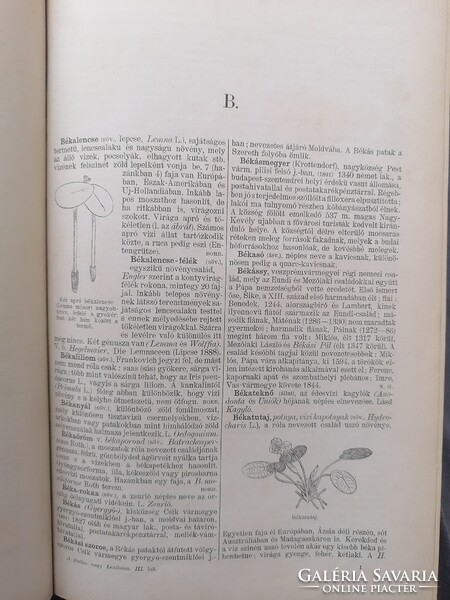 A Pallas Nagy Lexikona III. kötet 3