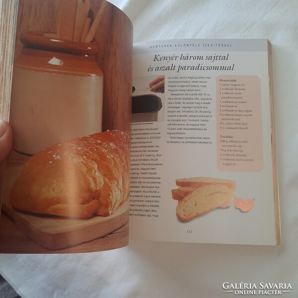 Vicki Smallwood: Száz recept kenyérsütő géphez   Alexandra kiadó 2004.