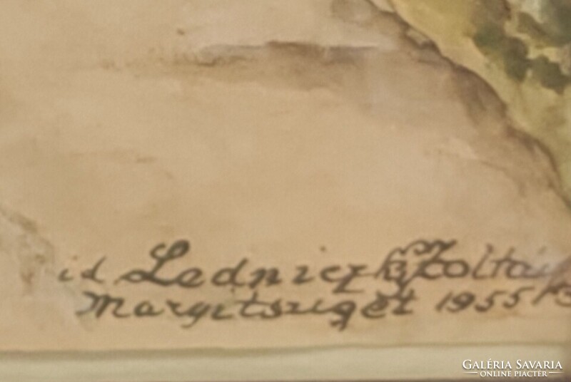 Ledniczky Zoltán: Margitsziget