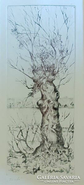 Kolozsvári Grandpierre Miklós: Fűzfa