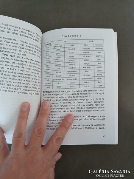 Somlai Angyalka - Neveden szólítalak Téged…