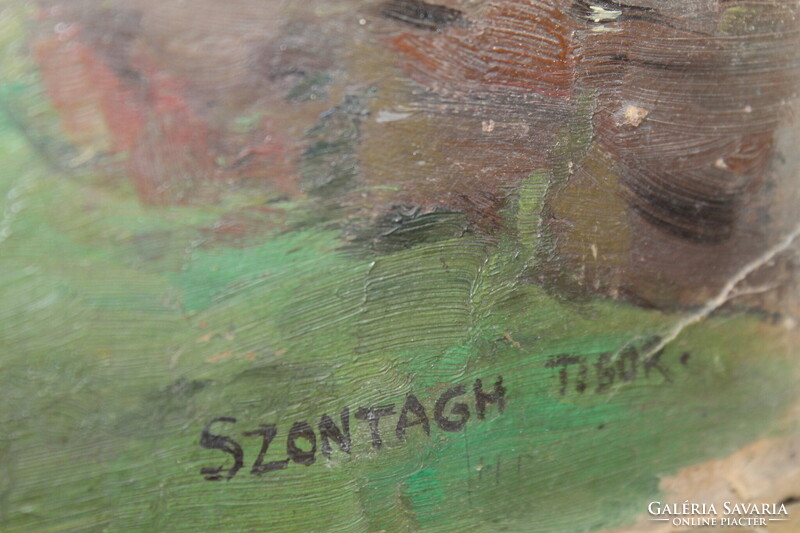 Szontagh Tibor eredeti festmény 139