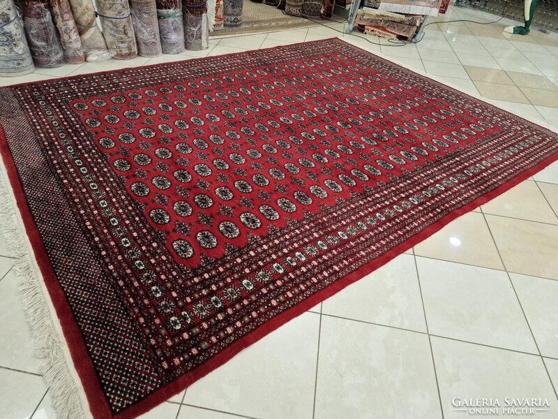 Újszerű pakisztáni bokhara-tekke 250x350 kézi gyapjú perzsa szőnyeg. KP02
