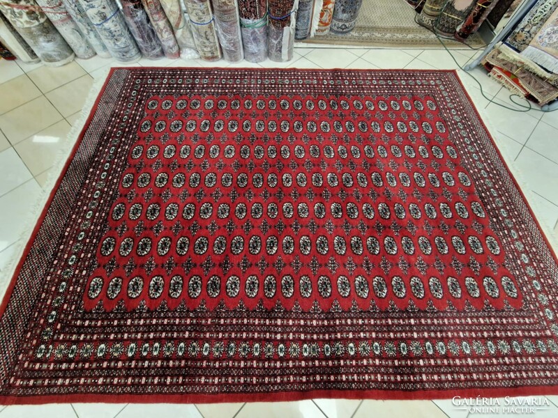 Újszerű pakisztáni bokhara-tekke 250x350 kézi gyapjú perzsa szőnyeg. KP02
