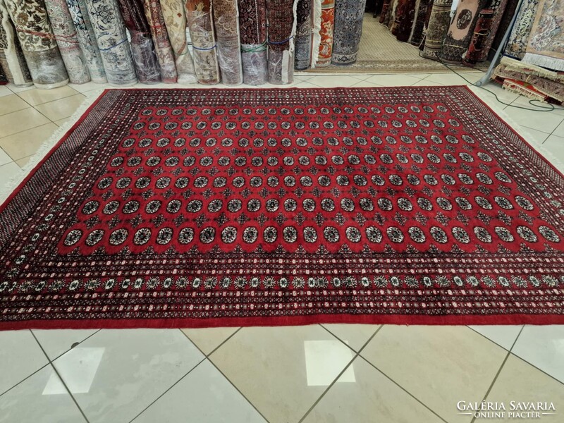 Újszerű pakisztáni bokhara-tekke 250x350 kézi gyapjú perzsa szőnyeg. KP02