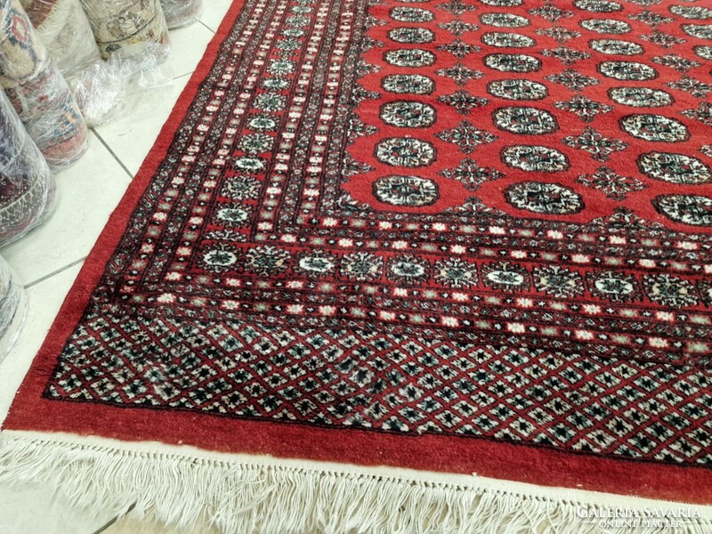 Újszerű pakisztáni bokhara-tekke 250x350 kézi gyapjú perzsa szőnyeg. KP02