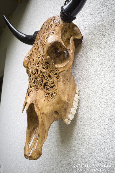 XL Bivaly koponya - kézzel vésett