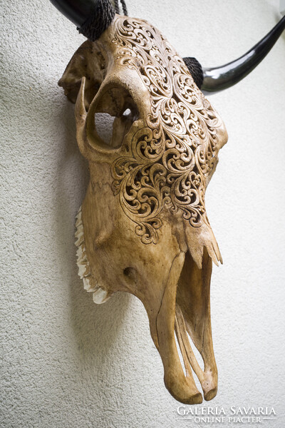 XL Bivaly koponya - kézzel vésett