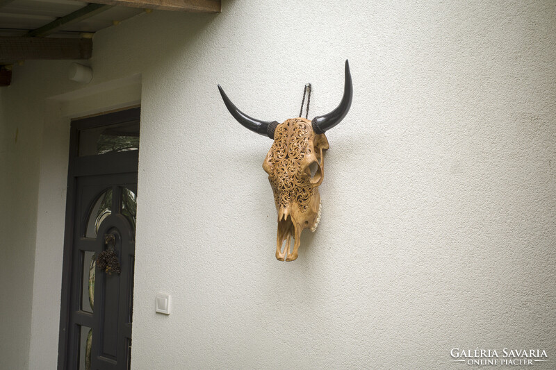 XL Bivaly koponya - kézzel vésett