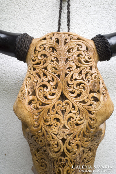 XL Bivaly koponya - kézzel vésett