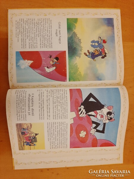 Dargay Attila - Hévízi Gábor: Az erdő kapitánya gyermek- és ifjúsági mesekönyv 1988 64 oldalas