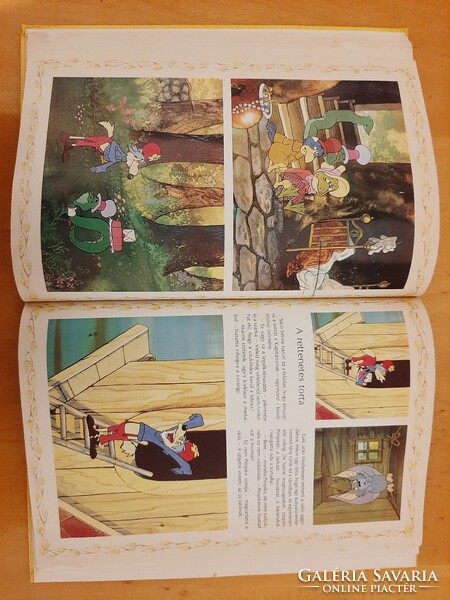 Dargay Attila - Hévízi Gábor: Az erdő kapitánya gyermek- és ifjúsági mesekönyv 1988 64 oldalas