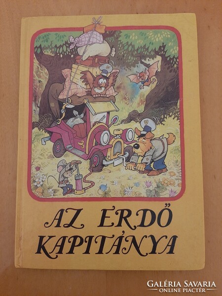 Dargay Attila - Hévízi Gábor: Az erdő kapitánya gyermek- és ifjúsági mesekönyv 1988 64 oldalas