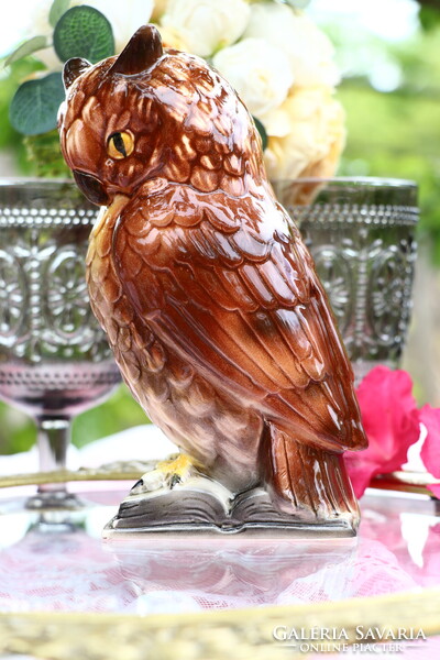 Hertwig Katzhütte porcelán bagoly