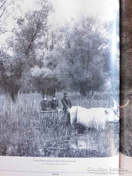 Kastélyok és mágnások - Az arisztokrácia világa a századvégi Magyarországon