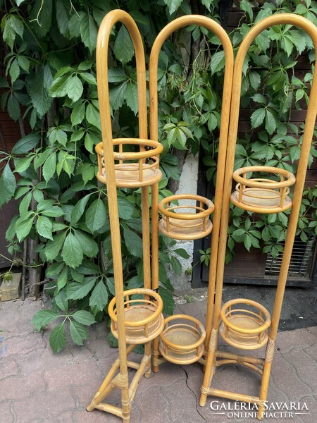 Rattan viragallvany