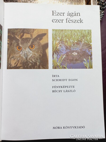 Ezer ágán ezer fészek (Schmidt Egon - Bécsy László)