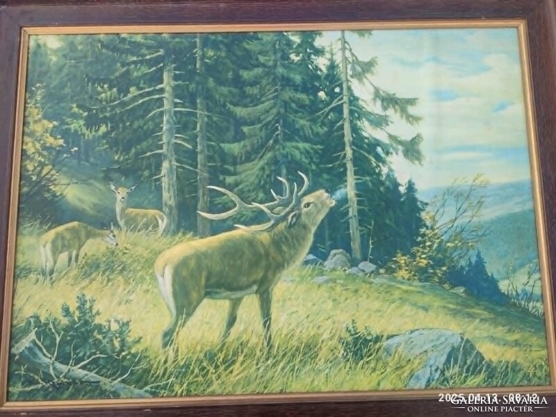 Erich Krüger: Hirsch am Morgen