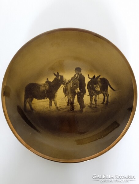 Vintage, RIDGWAYS ROYAL VISTA WARE, kőporcelán dísztányér, falitányér