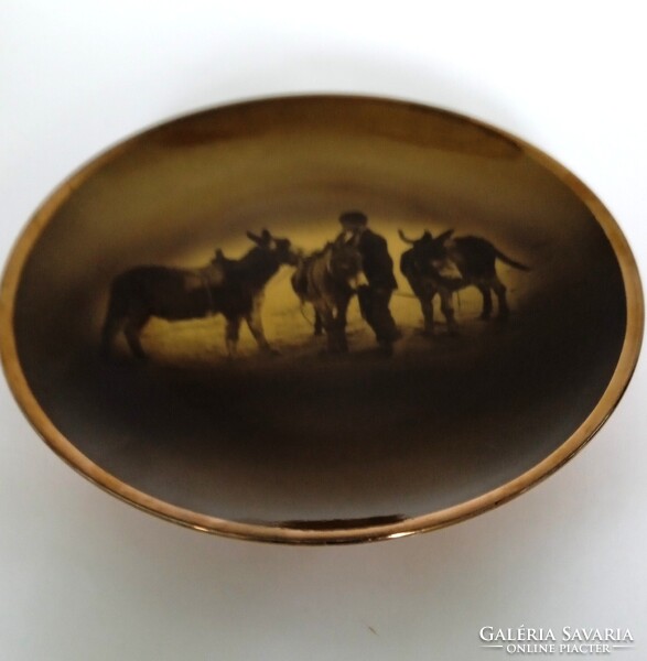 Vintage, RIDGWAYS ROYAL VISTA WARE, kőporcelán dísztányér, falitányér