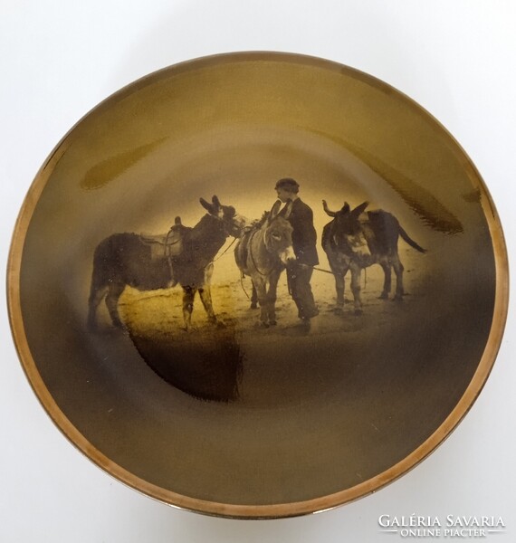 Vintage, RIDGWAYS ROYAL VISTA WARE, kőporcelán dísztányér, falitányér