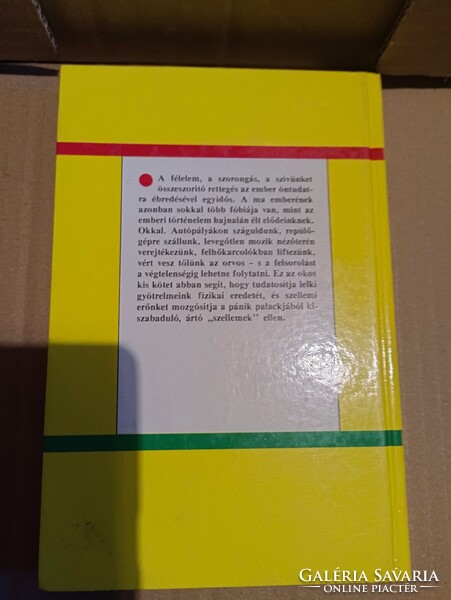 Joy Melville: Csak semmi pánik