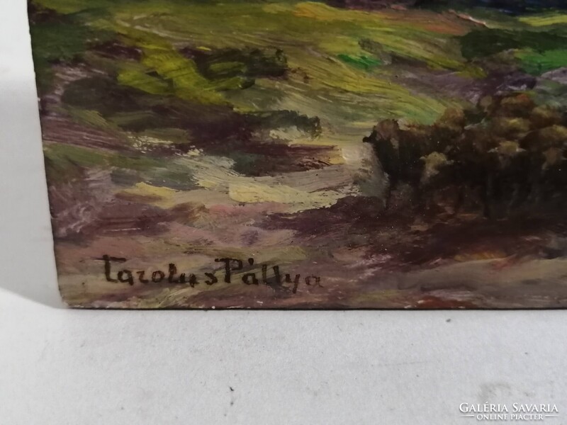 PÁLLYA CAROLUS /1875-1949/ - BIRKÁKAT TERELŐ JUHÁSZ