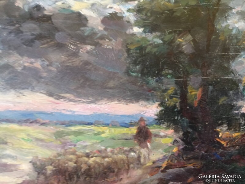 PÁLLYA CAROLUS /1875-1949/ - BIRKÁKAT TERELŐ JUHÁSZ