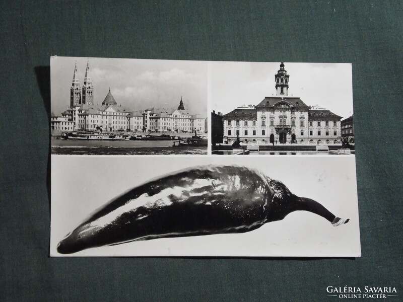Képeslap,Szeged,mozaik,Tisza part,Tanácsháza,paprika látkép,részlet, 1957-